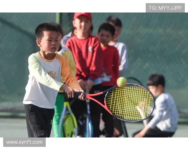 专访陈娜揭秘网球成功秘诀与职业生涯背后的故事