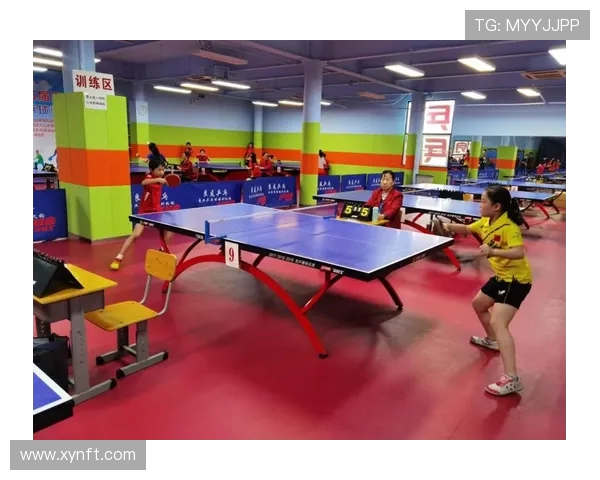 北京乒乓球队区域防守革新之路探索与实践分析