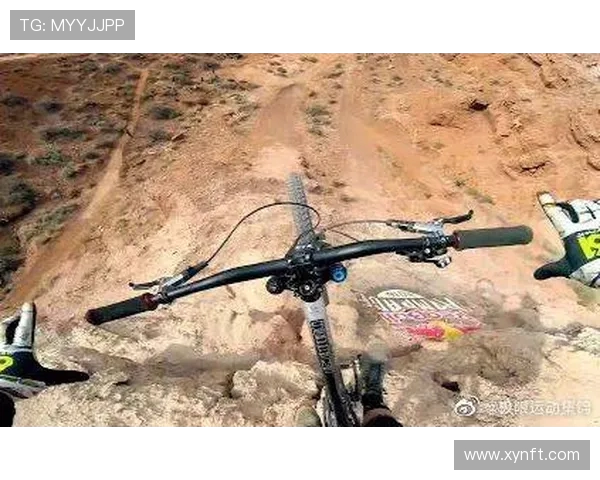 杭州极限运动队比赛经验分享与挑战分析探讨